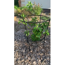 Metalowe podpory do kwiatów